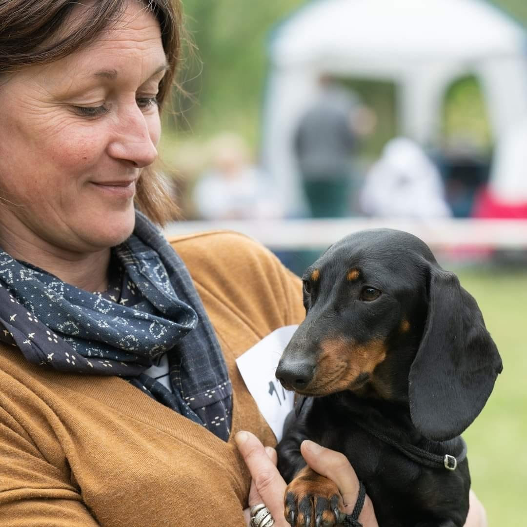 tora kuro  Du domaine de saint clair